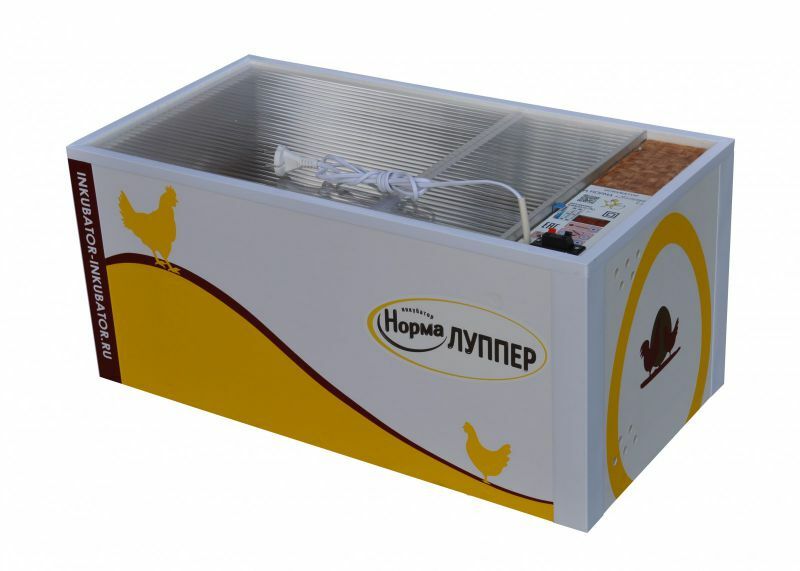 <span style="font-weight: bold;">Инкубаторы</span> 